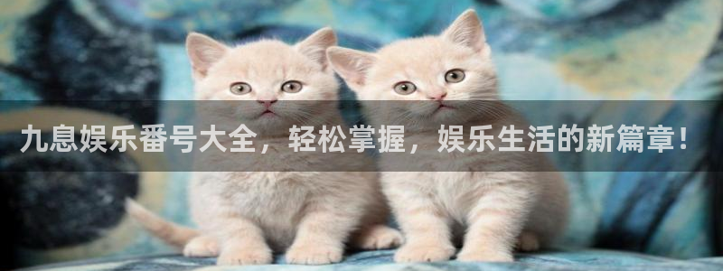 极悦平台.ccmpc29官网版下载：九息娱乐番号大全，轻松掌握，娱乐生活的新篇章