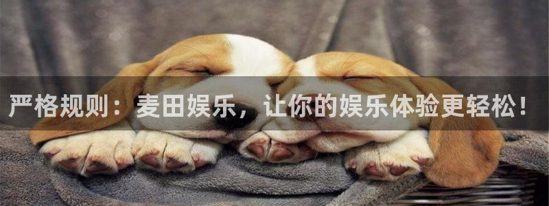 极悦平台4登录：严格规则：麦田娱乐，让你的娱乐体验更轻松！