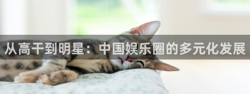 极悦平台2注册：从高干到明星：中国娱乐圈的多元化发展