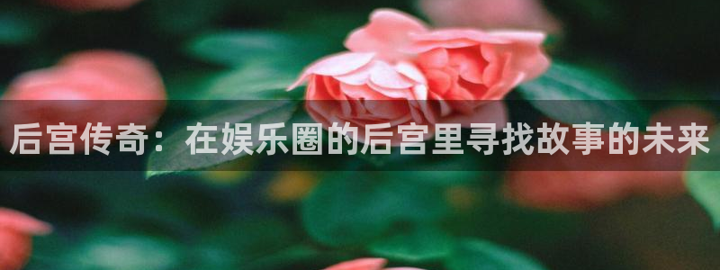 极悦平台2登录：后宫传奇：在娱乐圈的后宫里寻找故事的未来