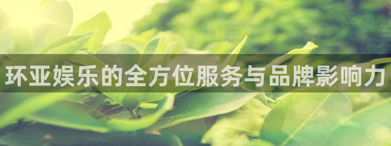 极悦平台放水时间：环亚娱乐的全方位服务与品牌影响力