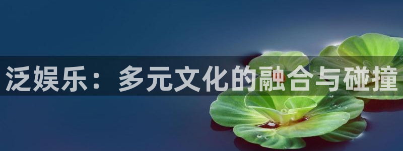 极悦平台k：泛娱乐：多元文化的融合与碰撞