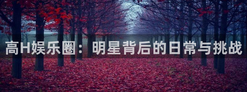 极悦平台注册链接：高H娱乐圈：明星背后的日常与挑战