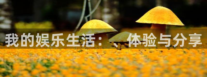 极悦平台加拿大：我的娱乐生活：、体验与分享