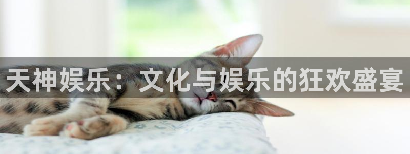 极悦平台软件：天神娱乐：文化与娱乐的狂欢盛宴