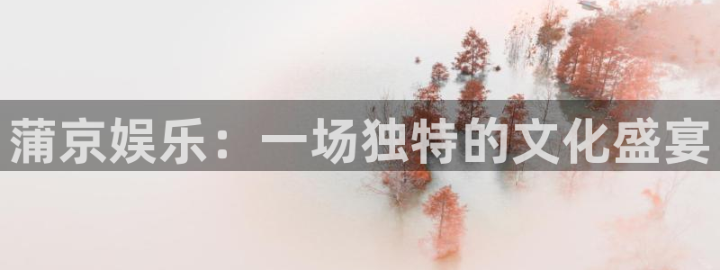极悦平台游戏有哪些好玩的：蒲京娱乐：一场独特的文化盛宴