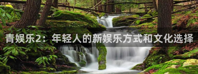 极悦平台体育4：青娱乐2：年轻人的新娱乐方式和文化选择