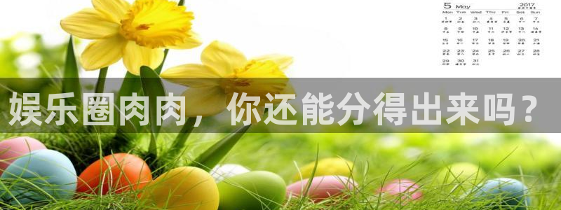 极悦平台