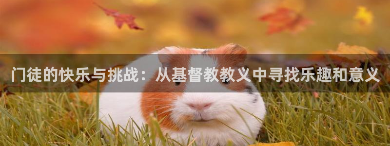 极悦平台官网版下载链接：门徒的快乐与挑战：从基督教教义中寻找乐趣和意义