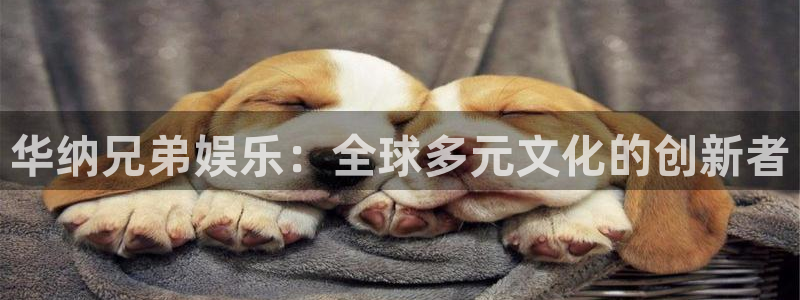极悦平台app注册地址：华纳兄弟娱乐：全球多元文化的创新者
