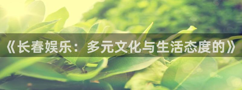 极悦平台体育网页版入口：《长春娱乐：多元文化与生活态度的》