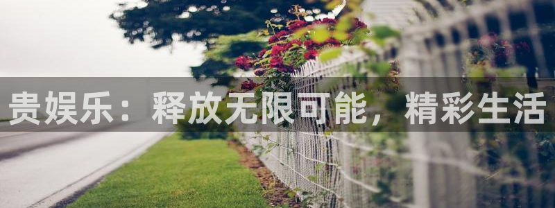 极悦平台平台开户链接：贵娱乐：释放无限可能，精彩生活