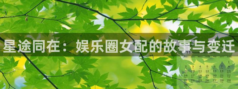 极悦平台体育官网入口登录：星途同在：娱乐圈女配的故事与变迁