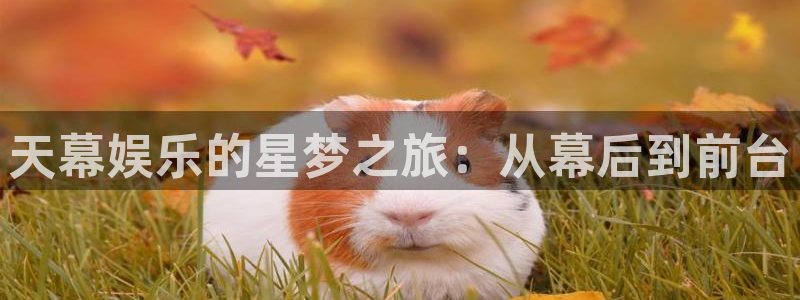 极悦平台凯捷平台注册链接：天幕娱乐的星梦之旅：从幕后到前台