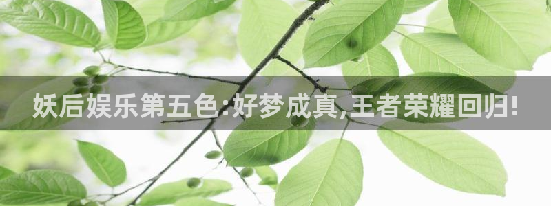 极悦平台招商：妖后娱乐第五色:好梦成真,王者荣耀回归!