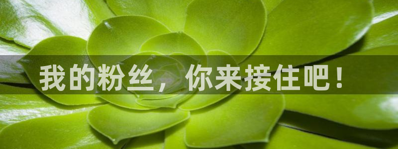 极悦平台官网版下载：我的粉丝，你来接住吧！