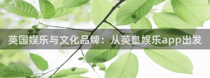 极悦平台官方网站：英国娱乐与文化品牌：从英皇娱乐app出发