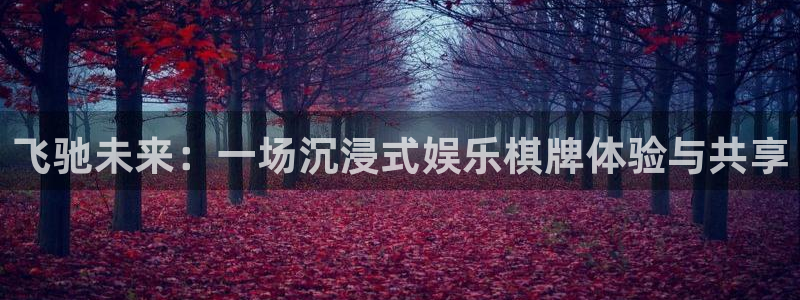 极悦平台电子娱乐官网下载：飞驰未来：一场沉浸式娱乐棋牌体验与共享