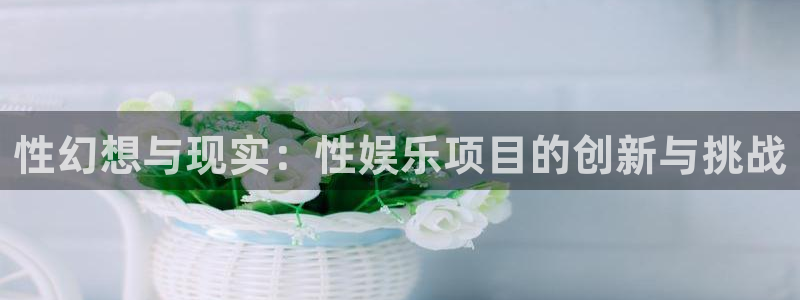 极悦平台登陆：性幻想与现实：性娱乐项目的创新与挑战