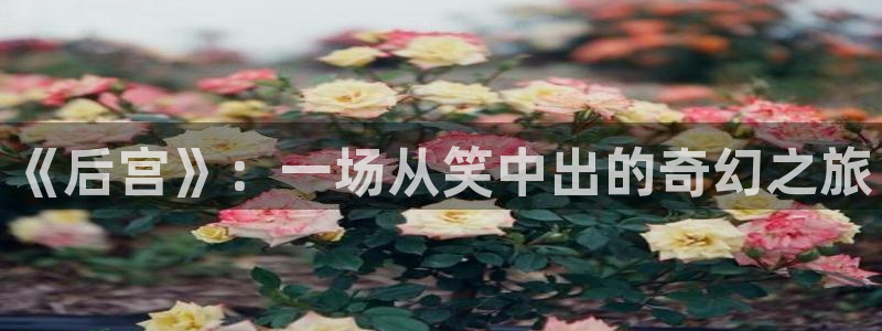 极悦平台网页版登：《后宫》：一场从笑中出的奇幻之旅