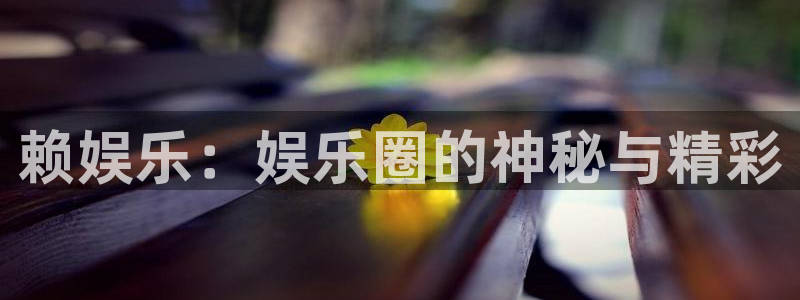 极悦平台电玩网官网入口：赖娱乐：娱乐圈的神秘与精彩