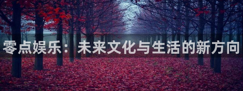 极悦平台体育网页版入口