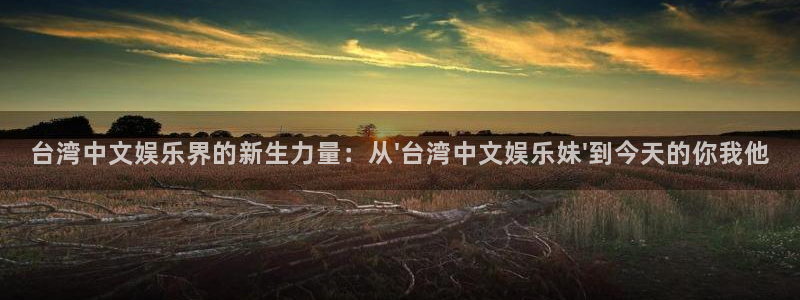 极悦平台5注册：台湾中文娱乐界的新生力量：从\'台湾中文娱乐妹\'到今天的你我他