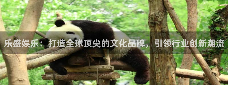 极悦平台下载并安装：乐盛娱乐：打造全球顶尖的文化品牌，引领行业创新潮流