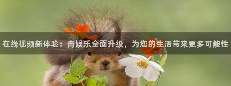 极悦平台体育娱乐注册链接：在线视频新体验：青娱乐全面升级，为您的生活带来更多可能性