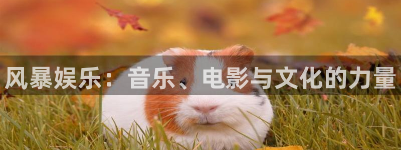 极悦平台5招商：风暴娱乐：音乐、电影与文化的力量