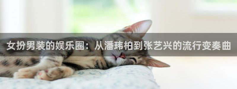 极悦平台平台官网入口：女扮男装的娱乐圈：从潘玮柏到张艺兴的流行变奏曲