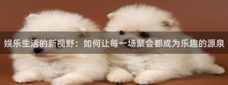 极悦平台平台注册账号：娱乐生活的新视野：如何让每一场聚会都成为乐趣的源泉
